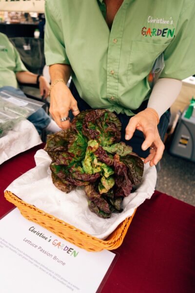 Person holding a fresh head of Lettuce Passion Brune from Christine's Garden at a farmers market, showcasing its vibrant green and deep red leaves in a woven basket with a display sign.